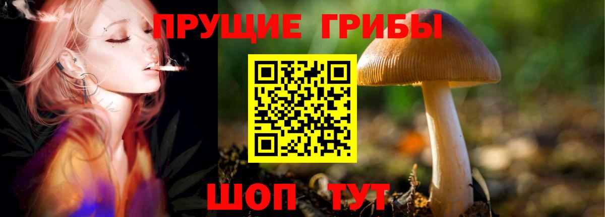 Псилоцибиновые грибы мухоморы Альметьевск